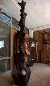 14138717_1073618769353789_2896352080862025547_o