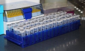 14182369_324475047900593_1046692812_n