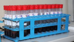 14182551_324475051233926_540163420_n