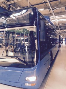 14192089_10206898253837143_6323996297473378322_n