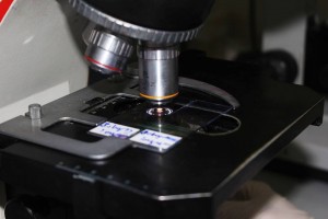 14218235_324475041233927_1209532138_n