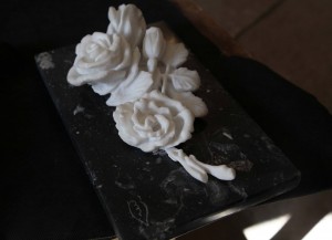 14249925_1073618692687130_532015048413927502_o