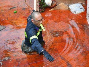 14269281_1223135737708917_781257151_n