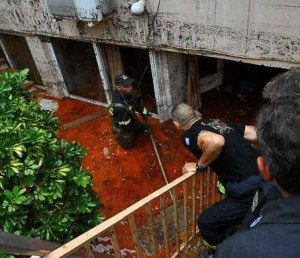 14269650_1223140214375136_854522605_n