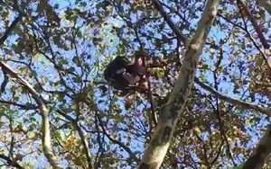 14341403_10206792054151559_1540765254_n