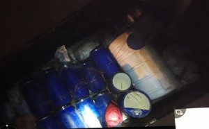 14469280_10206895399255122_1453894458_n