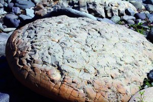 0ee06911919ee0ac647e7db24a41da96