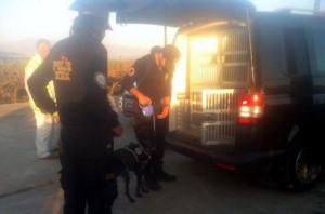 1313056_37d4069e5d8ac70a0e036f92348ba6e9_640x640