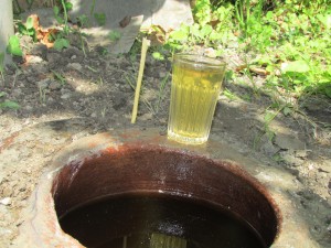 14572745_1235273779844157_1423174093_o