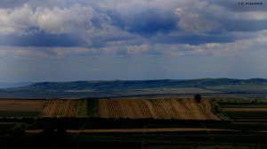 14589957_1252499831479965_4991014223399953416_o