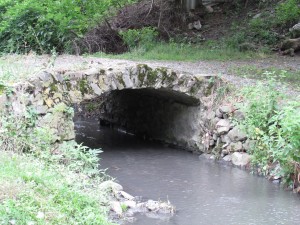 14600627_1235273803177488_1043302798_o