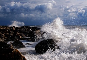 14608662_1252499921479956_7559988048706619677_o