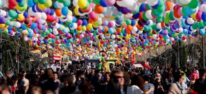 14680559_1183102925082984_7574555325748220079_n