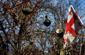 14692206_1252501661479782_7570765828042436377_o