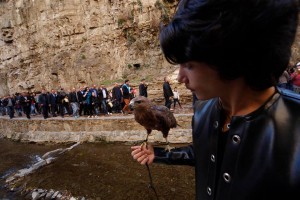 14713704_1183103208416289_4452345131768179690_n