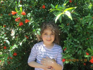 14715637_1220634894662194_6920930904139447590_o