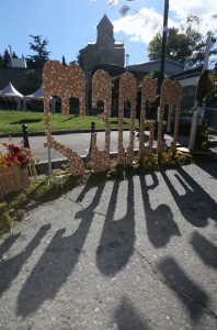 14732132_349101175434913_1911536124936635957_n