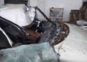 1476267237-9951-derevo-golovatogo-odessa