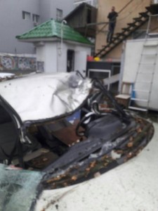 1476267247-2181-derevo-golovatogo-odessa