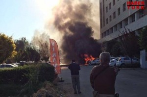 14798865_10207107289472245_241009745_n