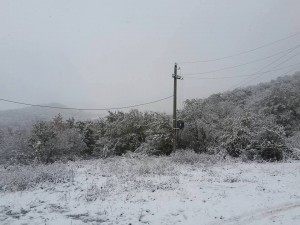 14800684_10154093090589779_916149047_n