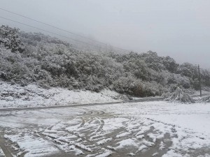 14805460_10154093090604779_764322181_n