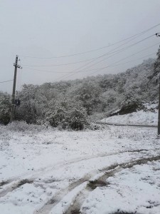 14872425_10154093090584779_1929456598_n