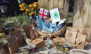 14947766_10210897697422454_6410928754837199103_n