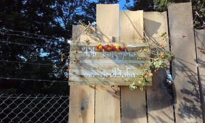 14956494_10210897697222449_7679243127435447_n