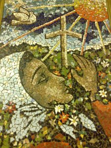 14976858_525155561014458_7025793188699069804_o