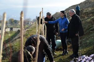 15036700_1501188173231111_6945613781088556110_n