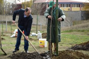 15056306_1501188603231068_4148981830425792327_n