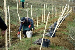 15073306_1501188176564444_2158450146965326627_n