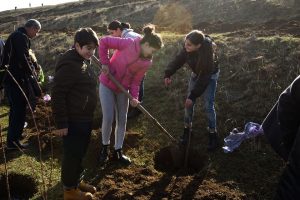 15073329_1501188396564422_6126355116440470699_n