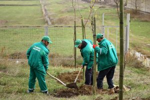 15094320_1501188813231047_1900610688988529408_n