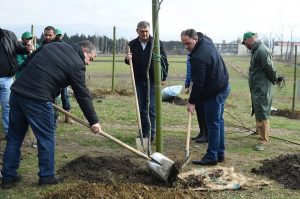 15107410_1501188473231081_2727043140614289428_n