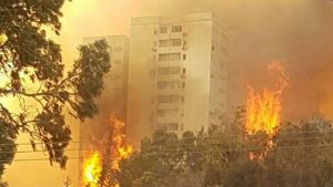 15175595_1301789123176911_92249866_n