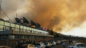 15207807_1301790496510107_213662247_n