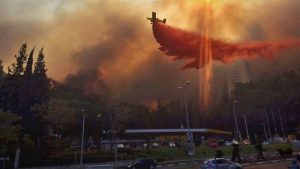 15211743_1301788869843603_316630385_n