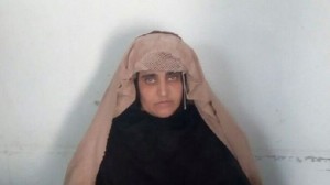 _92220036_hi036084336