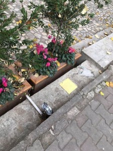 _92323553_77c85593-9b7e-4415-9878-5f4001cc842d