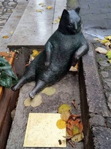 _92380163_cat_istanbul