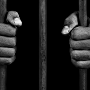 download-3-1-300x300