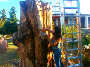 14681922_1697171070367312_4091056569972677920_o