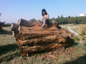 14691381_1697169400367479_7702054730188657588_o