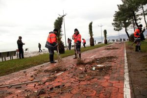 15281175_10154203725579779_1626731947_n