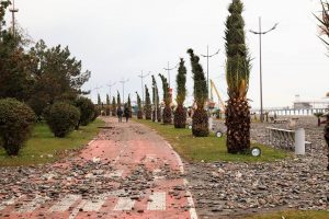 15301264_10154203725474779_995354971_n