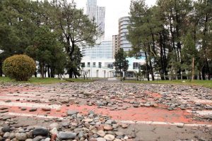 15319368_10154203725479779_1218865668_n