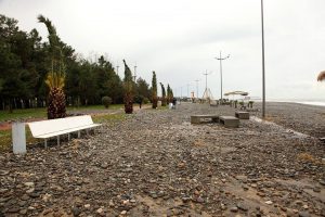 15320328_10154203725484779_1148526846_n