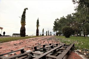 15327678_10154203725439779_974274409_n